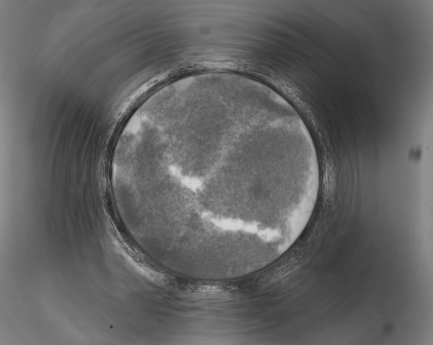 X0000114650390200912011117