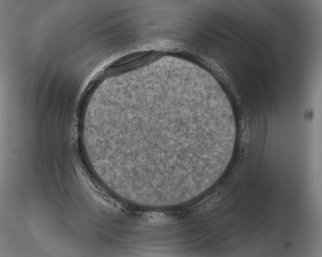 X0000114650392200912011117