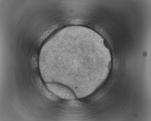 X0000114650393200912011117