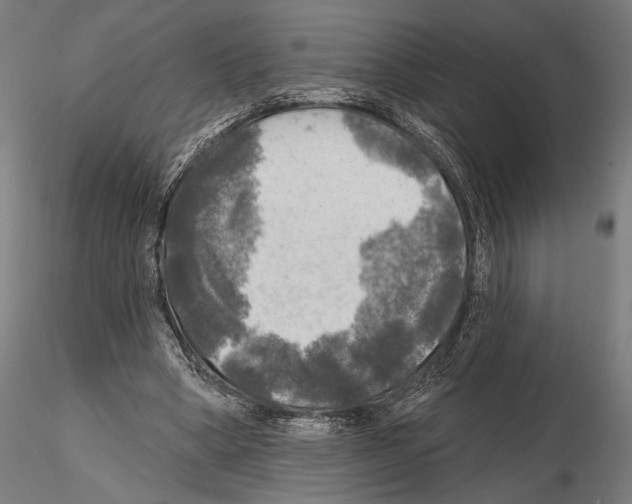 X0000114650394200912011117