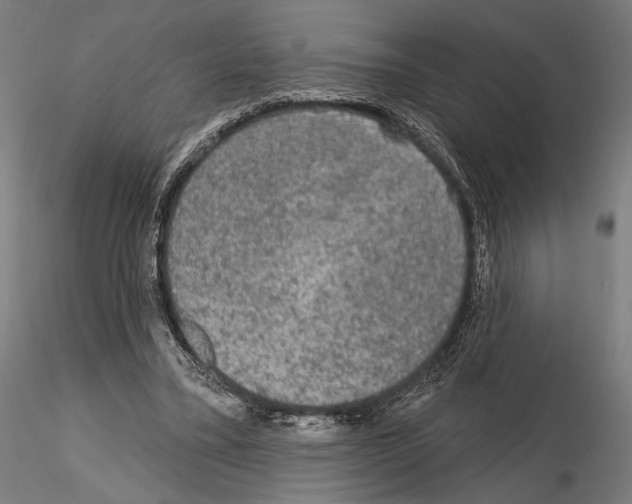 X0000114650395200912011117