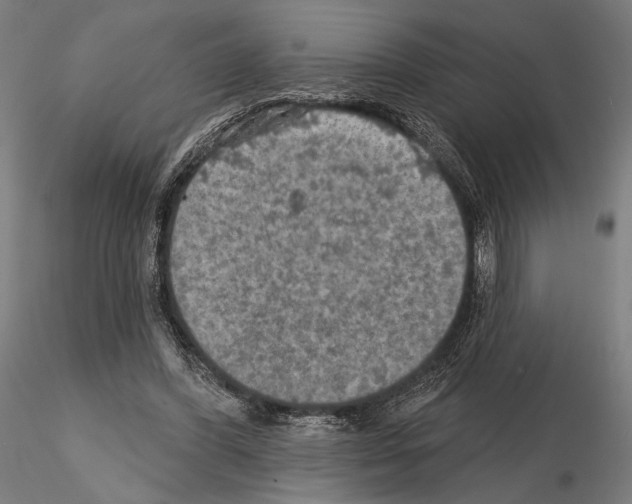 X0000114650396200912011117