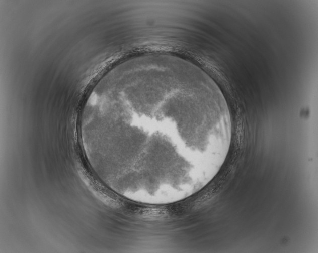 X0000114650398200912011117