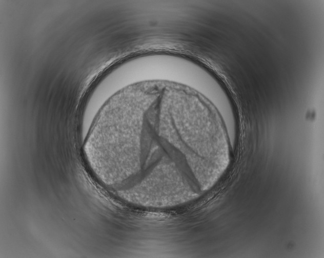 X0000114650399200912011117