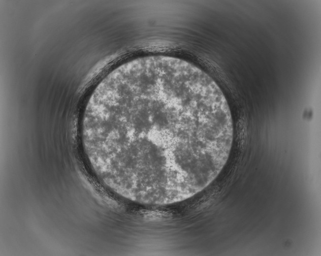 X0000114650400200912011117