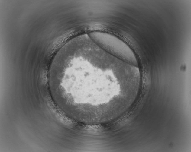 X0000114650401200912011117