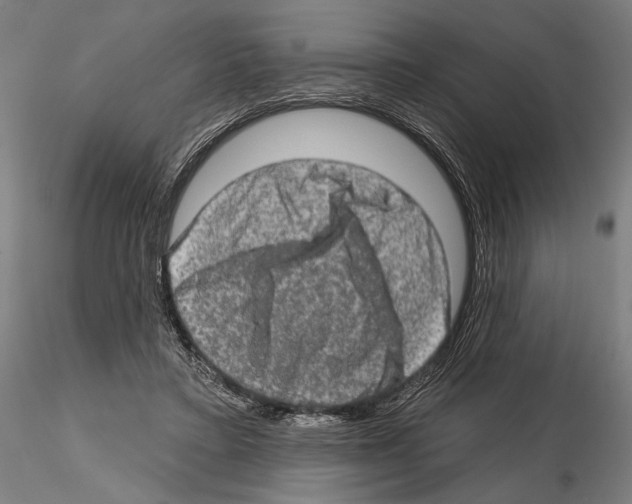 X0000114650403200912011117