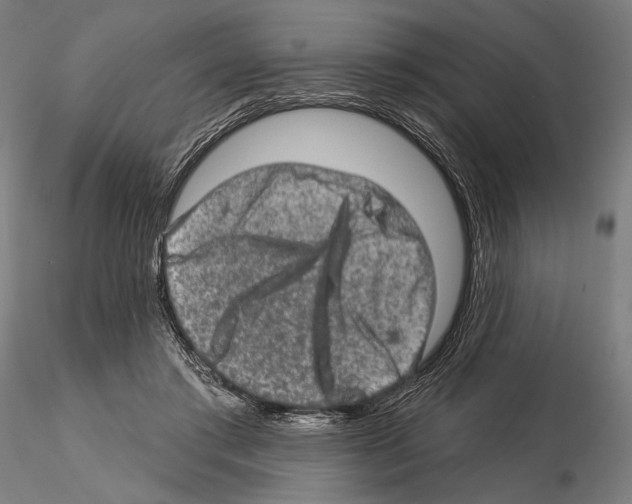 X0000114650405200912011117