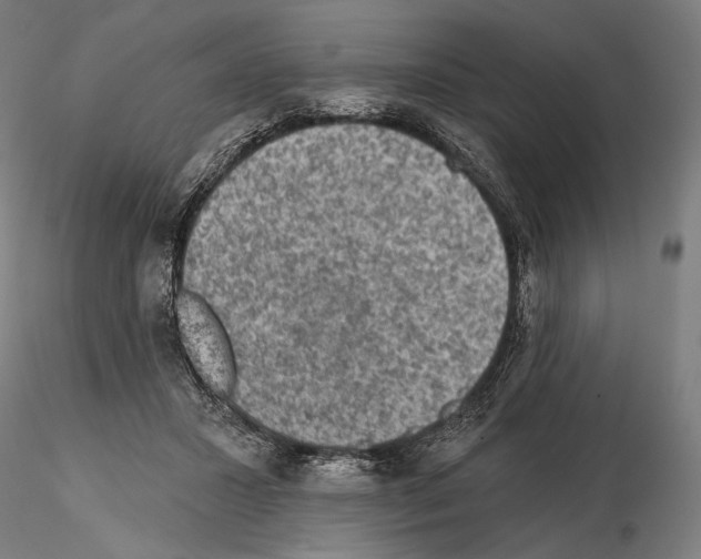 X0000114650407200912011117