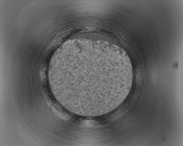 X0000114650408200912011117