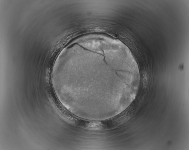 X0000114650410200912011117