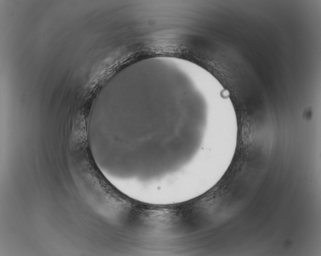 X0000114650411200912011117