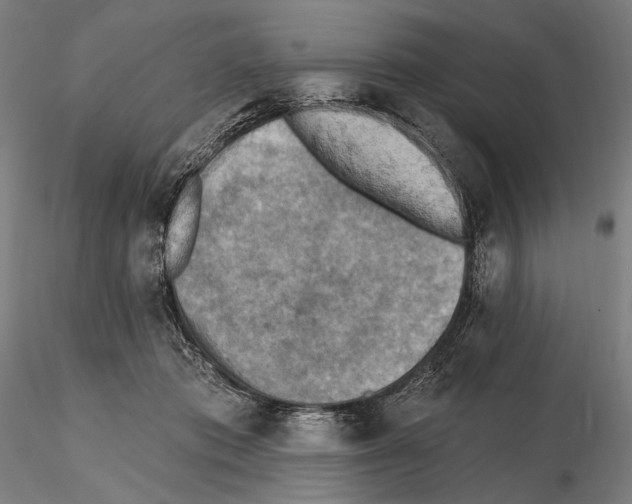 X0000114650413200912011117