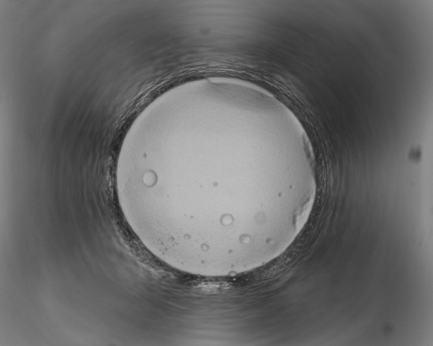 X0000114650415200912011116