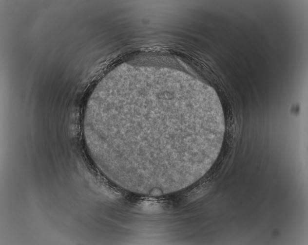 X0000114650416200912011116