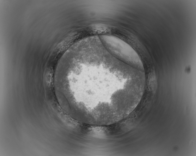 X0000114650417200912011116