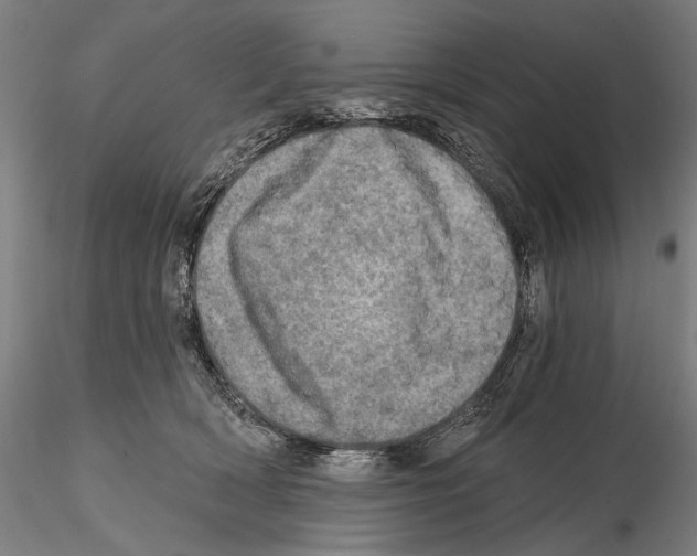 X0000114650418200912011116