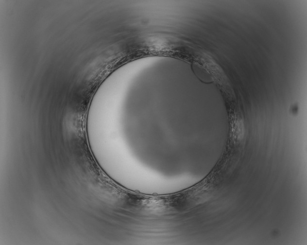 X0000114650419200912011116