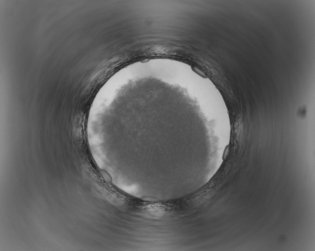 X0000114650423200912011116