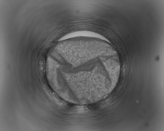 X0000114650424200912011116