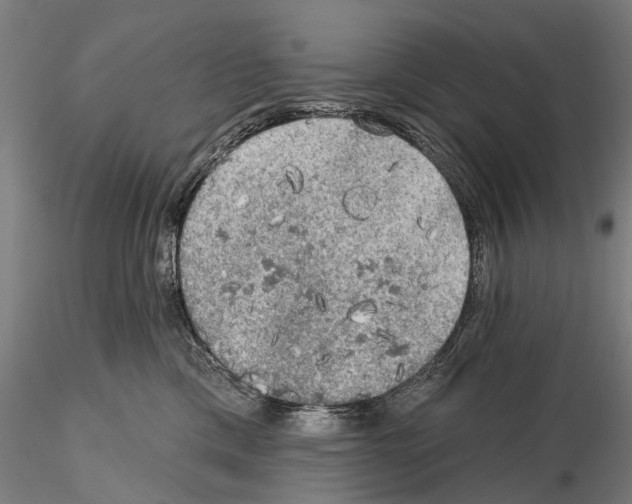 X0000114650425200912011116