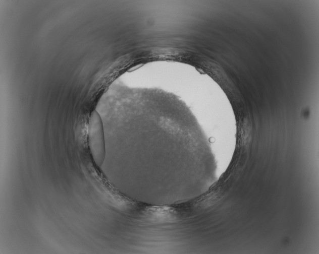 X0000114650427200912011116