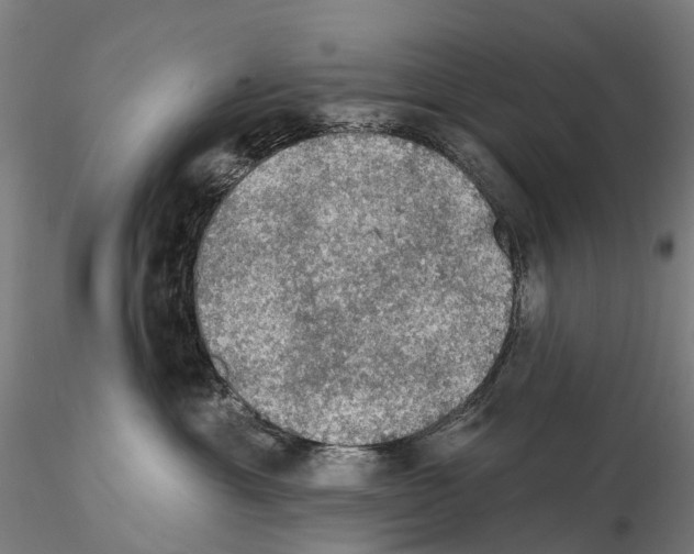 X0000114650429200912011116