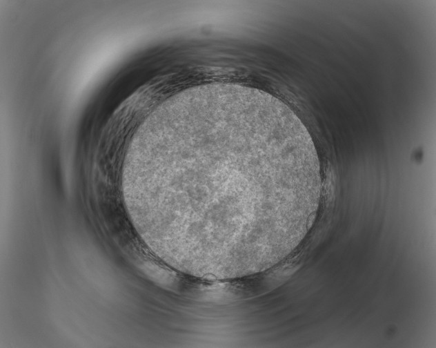 X0000114650430200912011116