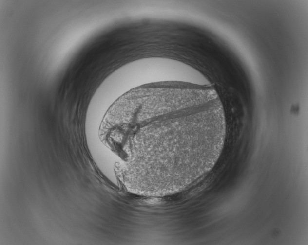 X0000114650431200912011116