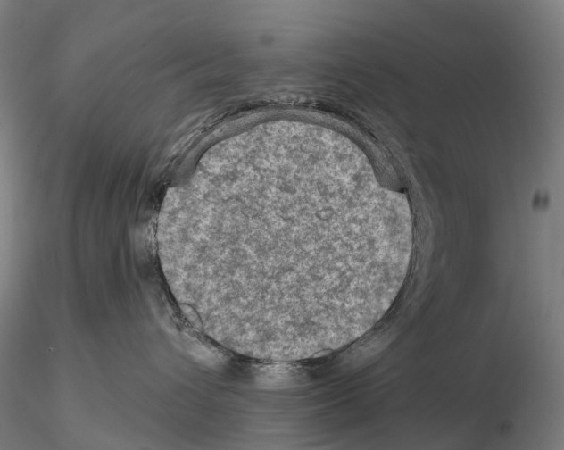 X0000114650432200912011116