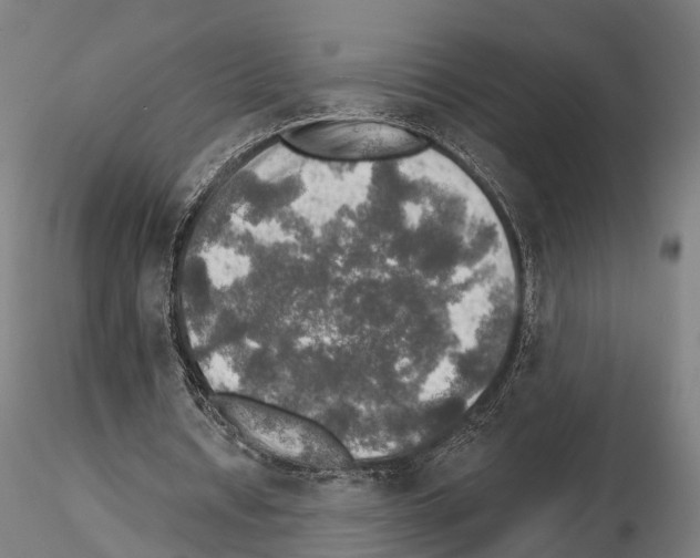 X0000114650434200912011115