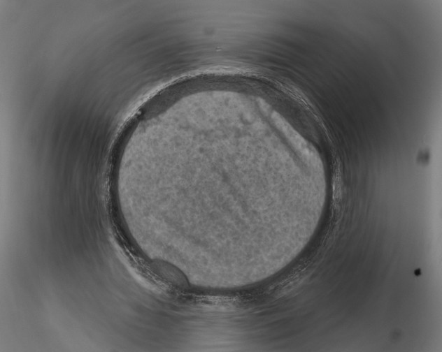 X0000114650436200912011115