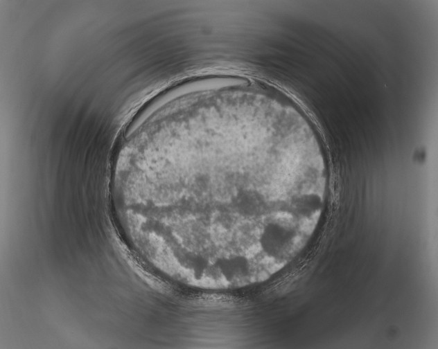 X0000114650437200912011115