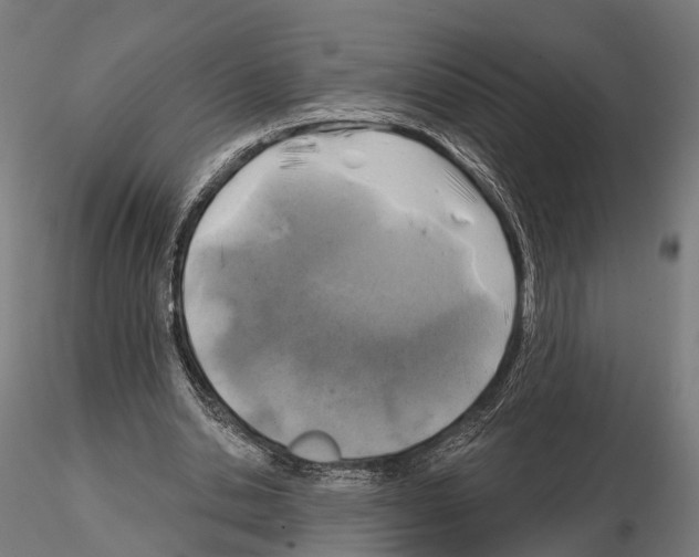 X0000114650438200912011115