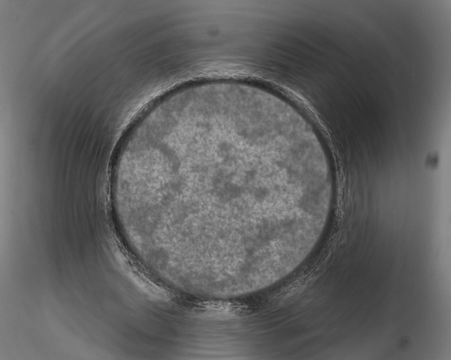 X0000114650439200912011116