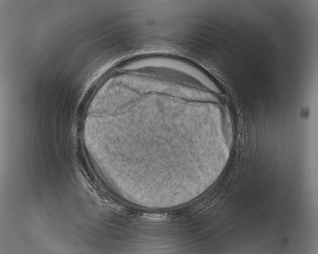 X0000114650440200912011116