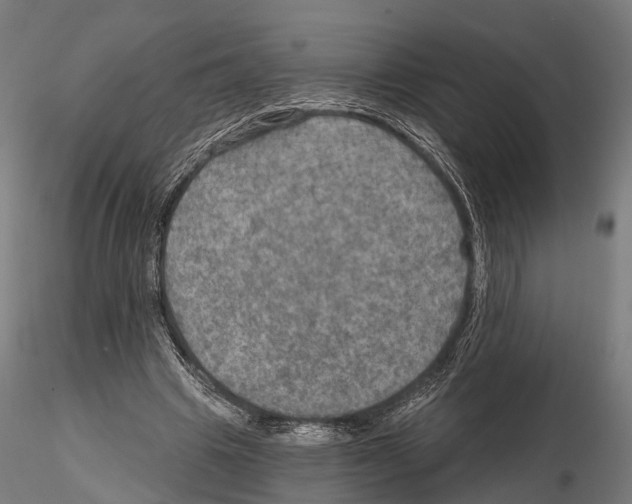 X0000114650441200912011116