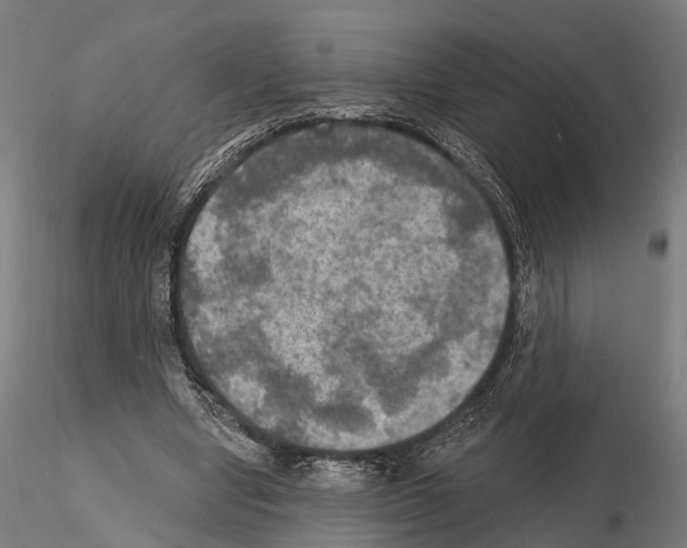 X0000114650442200912011116