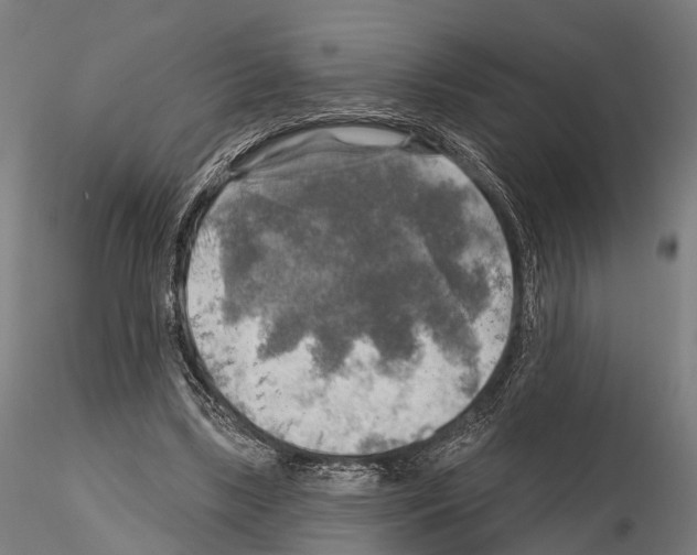 X0000114650443200912011116