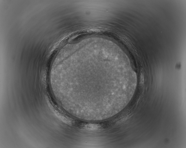 X0000114650444200912011116