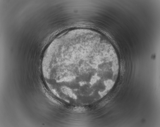 X0000114650445200912011116