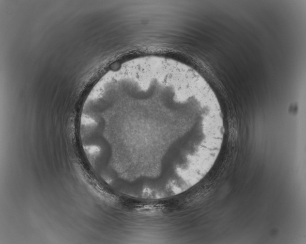 X0000114650447200912011116