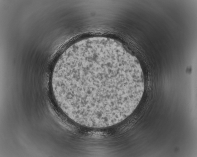 X0000114650448200912011116