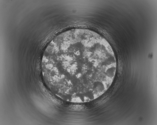 X0000114650449200912011116