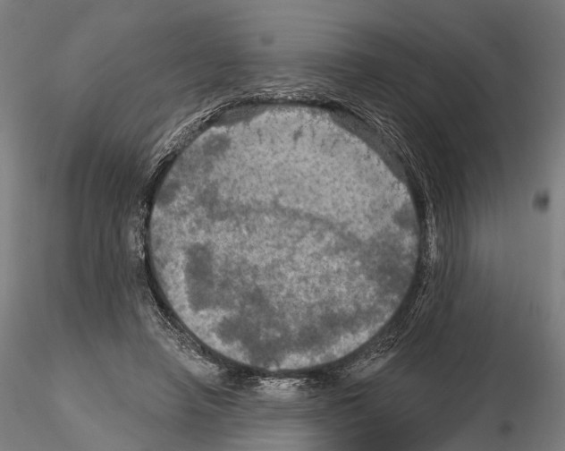 X0000114650450200912011116