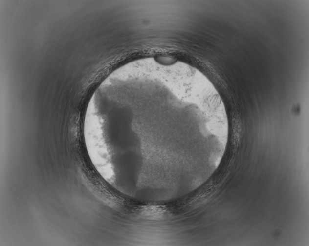 X0000114650451200912011116