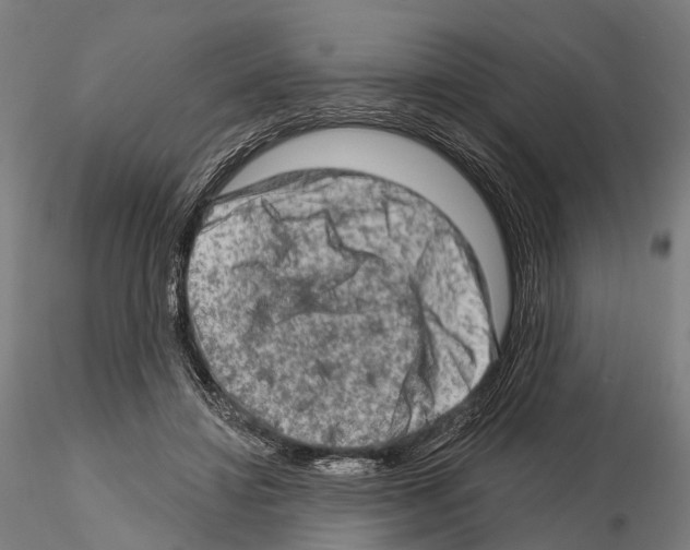 X0000114650452200912011116