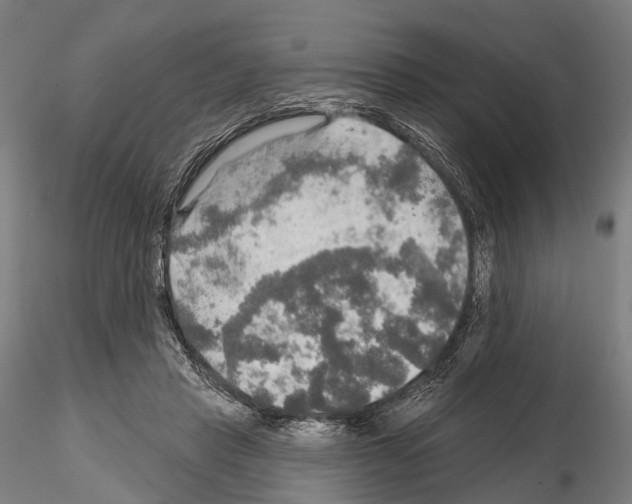 X0000114650453200912011116