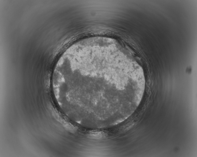 X0000114650454200912011116