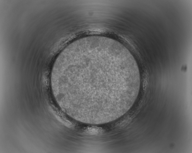 X0000114650455200912011116